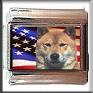 SHIBA INU AND AM FLAG ITALIAN CHARM