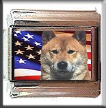 SHIBA INU AND AM FLAG ITALIAN CHARM
