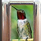 RUBY THROAT HUMMINGBIRD ITALIAN CHARM