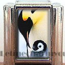 PENGUINS ITALIAN CHARM