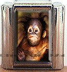 ORANGUTAN ITALIAN CHARM