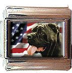 NEAPOLITAN MASTIFF AND AM FLAG ITALIAN CHARM