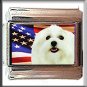 MALTESE AND AM FLAG ITALIAN CHARM
