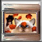 KITTY KITTEN LEAVES PLAYING ITALIAN CHARM