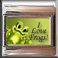 I LOVE FROGS ITALIAN CHARM CHARMS