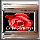 LOVE ALWAYS RED ROSE ITALIAN CHARM CHARMS