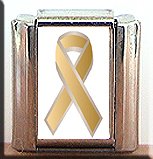 SKIN CANCER AWARENESS ITALIAN CHARM CHARMS