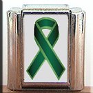 LIVER CANCER #2 AWARENESS ITALIAN CHARM CHARMS