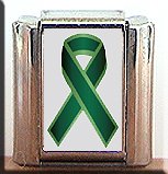 LIVER CANCER #2 AWARENESS ITALIAN CHARM CHARMS