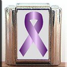 HODGKINS LYMPHOMA AWARENESS ITALIAN CHARM CHARMS