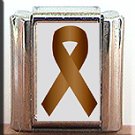 COLON CANCER AWARENESS ITALIAN CHARM CHARMS