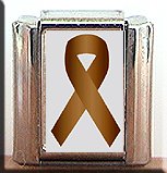 COLON CANCER AWARENESS ITALIAN CHARM CHARMS