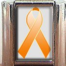 LEUKEMIA AWARENESS ITALIAN CHARM CHARMS