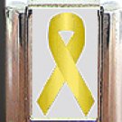 LIVER CANCER ITALIAN CHARM CHARMS