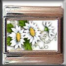 DASIES ITALIAN CHARM CHARMS