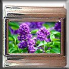 LILACS ITALIAN CHARM CHARMS