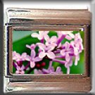 LILACS #2 ITALIAN CHARM CHARMS