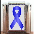 KIDNEY CANCER #2 AWARENESS ITALIAN CHARM CHARMS