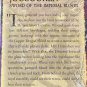 Dragon Shield - Blood Red - Matte Sleeves (1 BX/60 Sleeves)