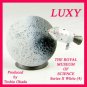 STARTALES Royal Museum of Science Series II Apollo 8 Luxy Collectibles stw3