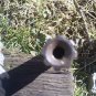 Crank spindle