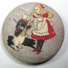 Alice in Wonderland - Meeting the White Rabbit