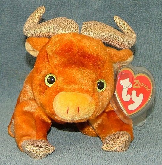 ox teddy