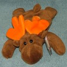 TY Beanie Baby Chocolate the Moose 1993 Retired Free Shipping