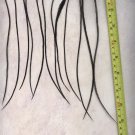 Salon Grade Feather Hair Extensions Genetic Grizzly Dyed Black PkF