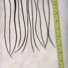 Salon Grade Feather Hair Extensions Genetic Grizzly Dyed Black PkI