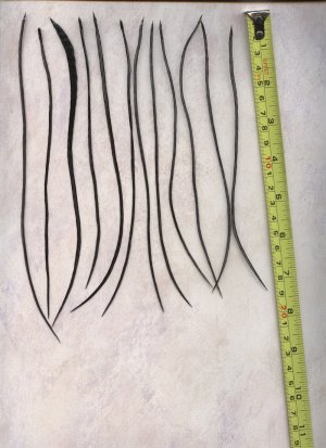 Salon Grade Feather Hair Extensions Genetic Grizzly Dyed Black PkI