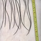 Salon Grade Feather Hair Extensions Genetic Grizzly Dyed Black PkL