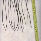 Salon Grade Feather Hair Extensions Genetic Grizzly Dyed Black PkM