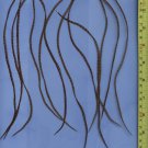 Salon Grade Feather Extensions Grizzly Natural Ginger Brown