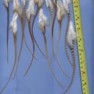 Salon Grade Feather Hair Extensions Grizzly Natural Ginger PkB
