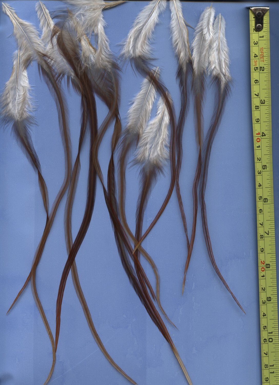 Salon Feather Hair Extensions Grizzly Natural Brown PkA