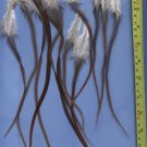 Salon Feather Hair Extensions Grizzly Natural Brown Genetics PkA