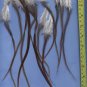 Salon Feather Hair Extensions Grizzly Natural Brown Genetics PkA