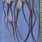 Salon Feather Hair Extensions Grizzly Natural Brown Genetics PkJ