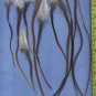 Salon Feather Hair Extensions Grizzly Natural Brown Genetics PkJ