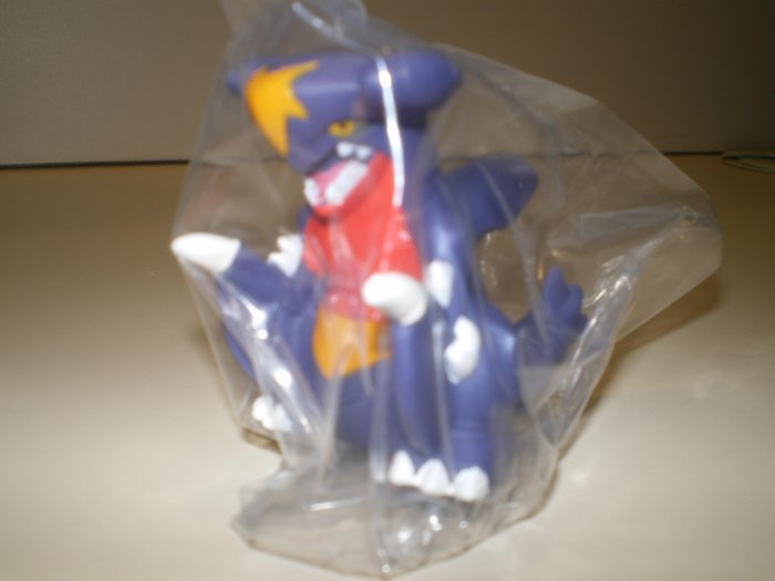 Garchomp Pokemon Kid