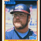 Greg Luzinski 1984 Ralston Purina # 5 Designated Hitter Chicago White Sox