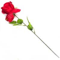 Fleur D'Amour