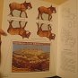 CIRCUS Cut & Assemble Creative Play Carnival  Clowns Elephants Craft