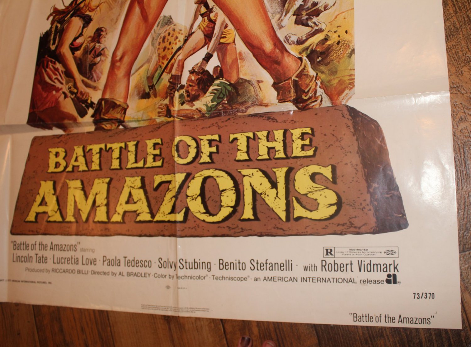 battle of the amazons 1973 battle of the amazons 1973