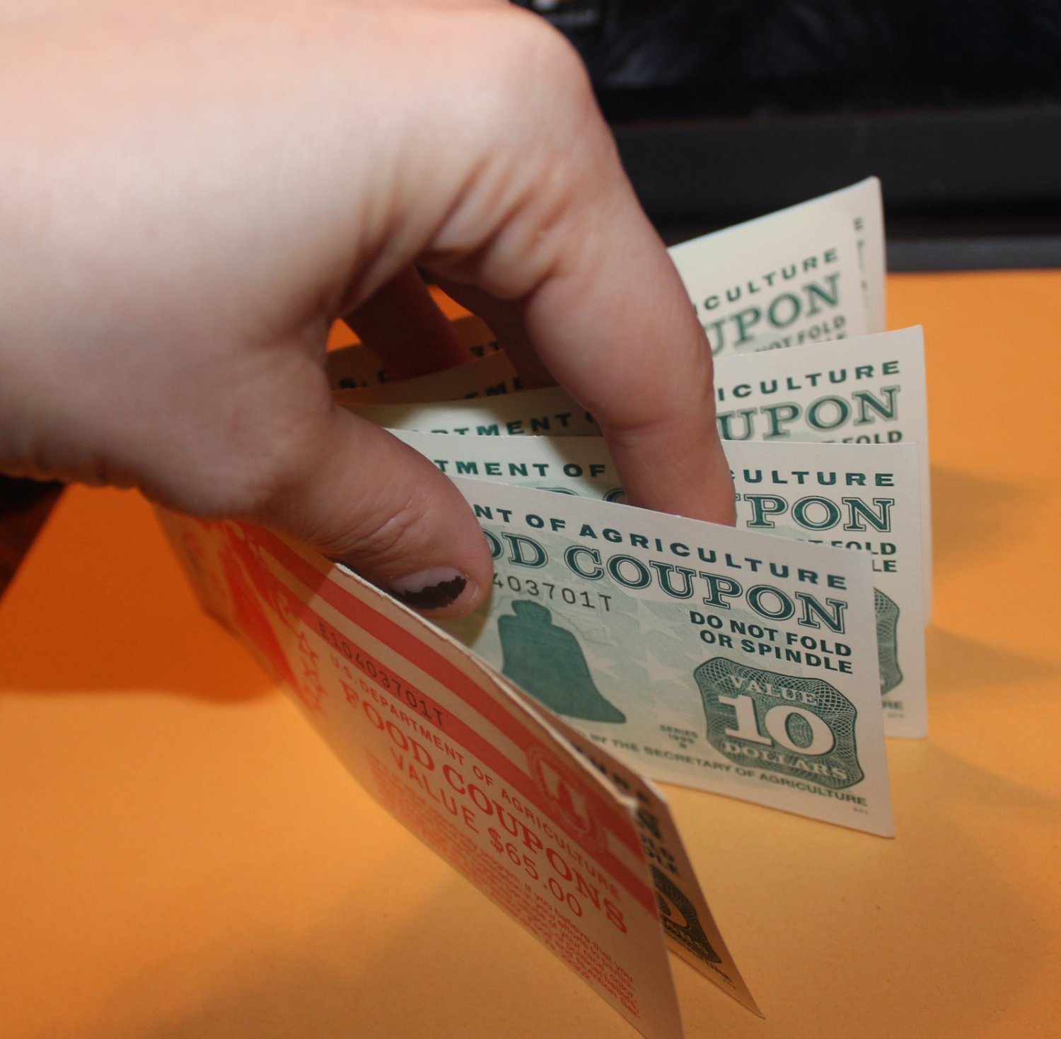 60 USDA Food Stamp coupon book FREE SHIPPING