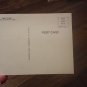 Unused postcard by Ken Brown Early to Rise (1993) Devil