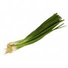 GREEN ONION BUNCH