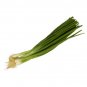 GREEN ONION BUNCH