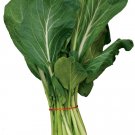 FRESH CHOY SUM BUNCH